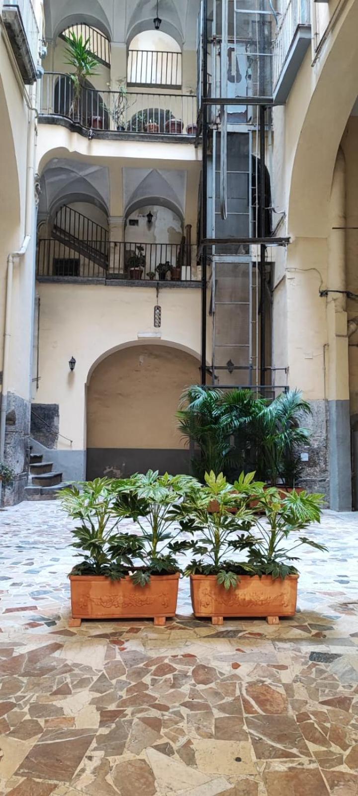 La Chicca Appartamento Intero Nei Quartieri Spagnoli ナポリ エクステリア 写真